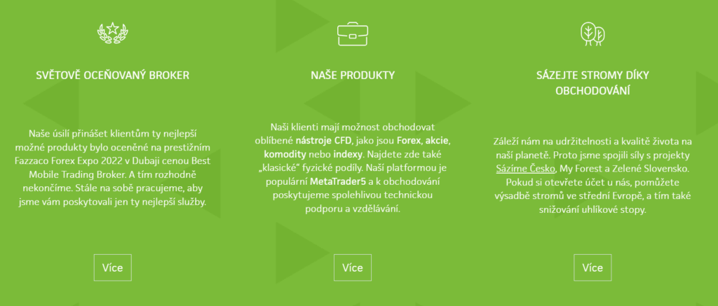 Wonderiterest: Screenshot webu